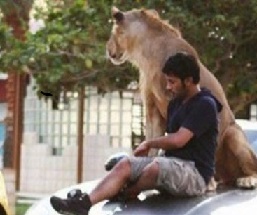 حیوانات خانگی بچه پولدارهای همسایه ایران+تصاویر